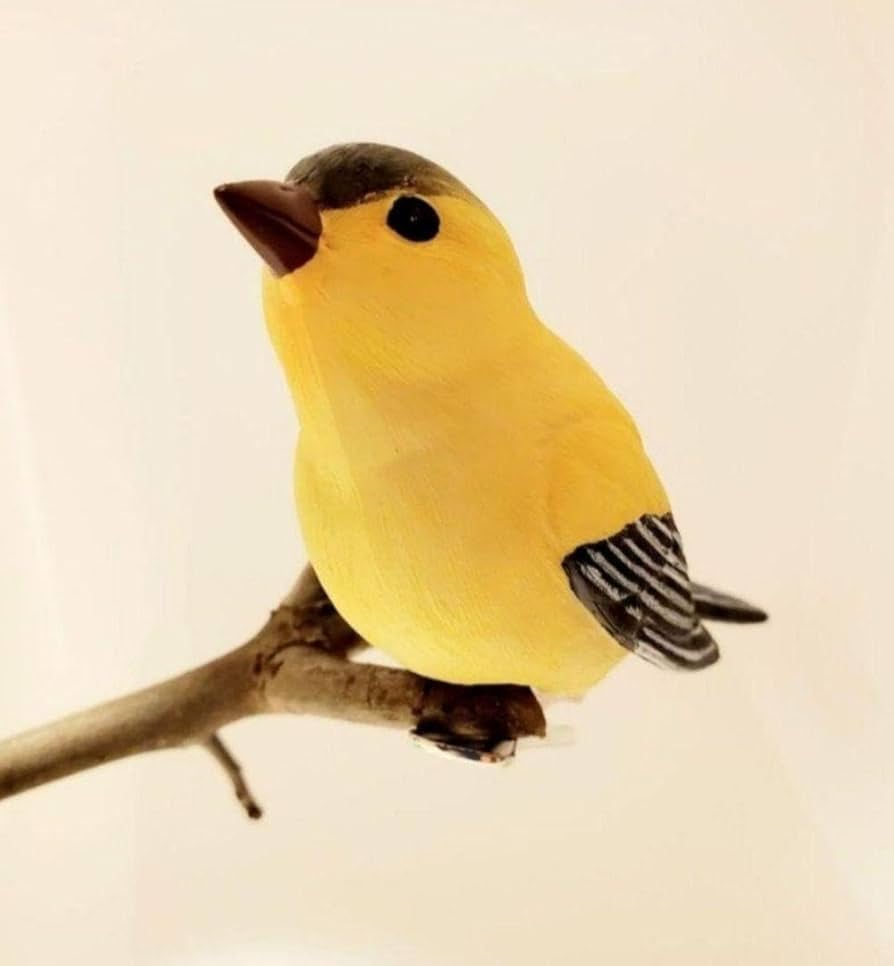 黄色い鳥 Amazon.co.jp: 鳥の置物 レア 小鳥のクリップ D 黄色い鳥